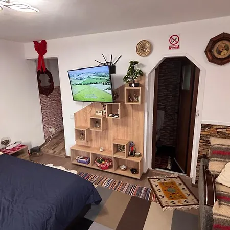 Semesterbostad Yna House Bukarest