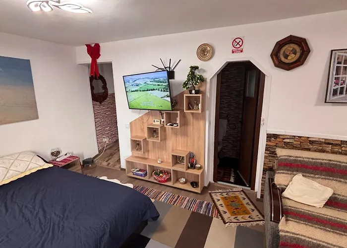 Semesterbostad Yna House Bukarest